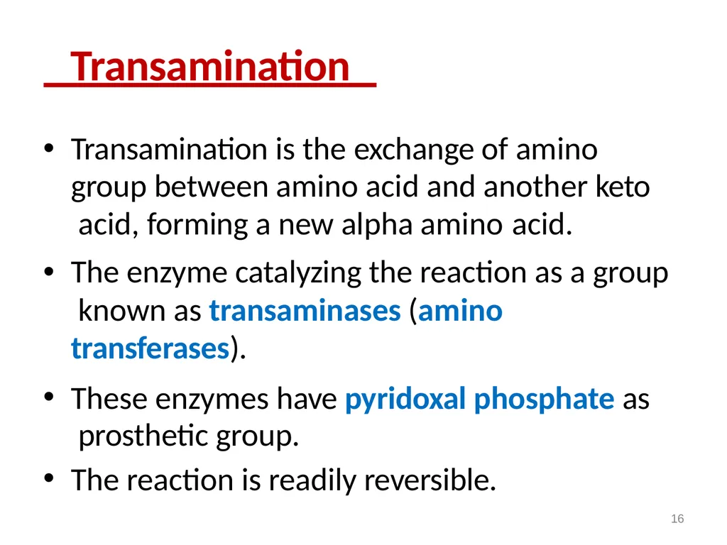 Protein metabolism and Urea cycle Digestion of - slide 16 of 39
