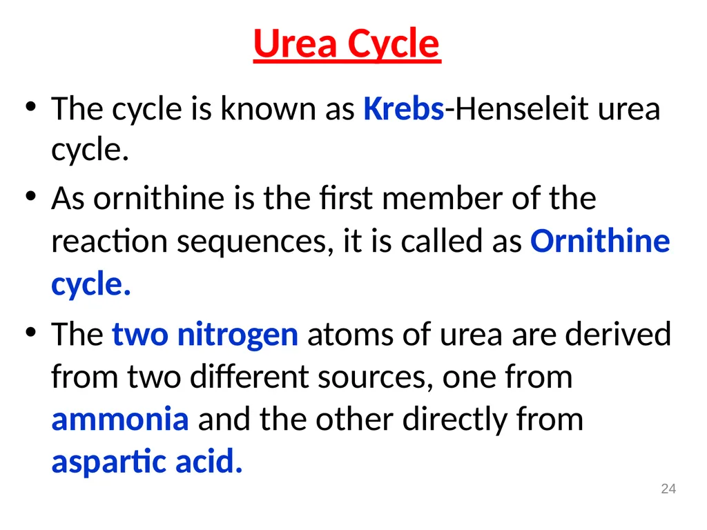 Protein metabolism and Urea cycle Digestion of - slide 31 of 39