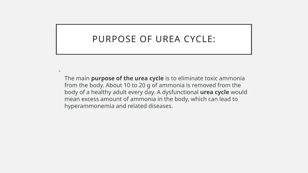 UREA cycle: Miss Farida Zai UREa cycle The urea - slide 3 of 11
