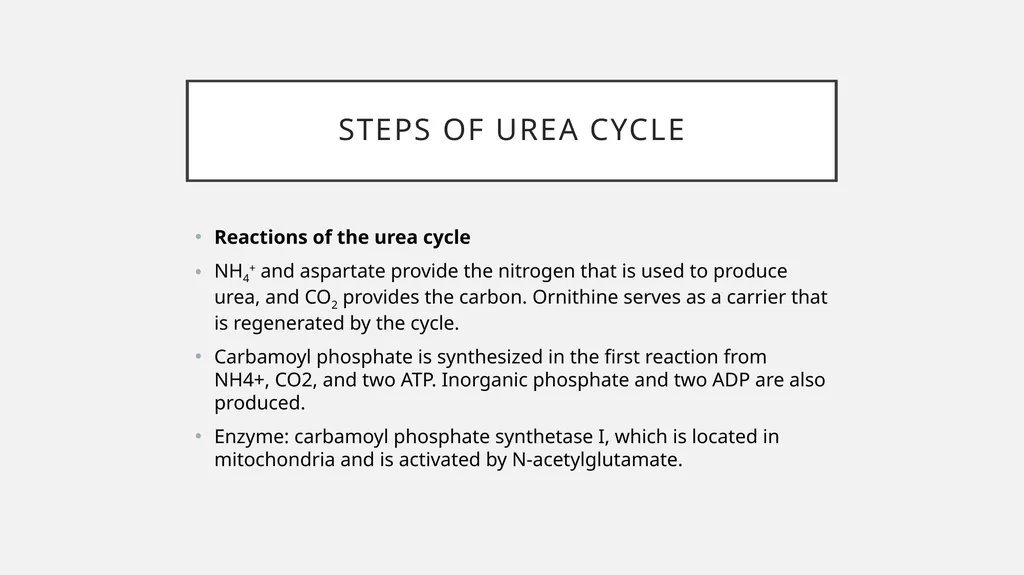 UREA cycle: Miss Farida Zai UREa cycle The urea - slide 5 of 11