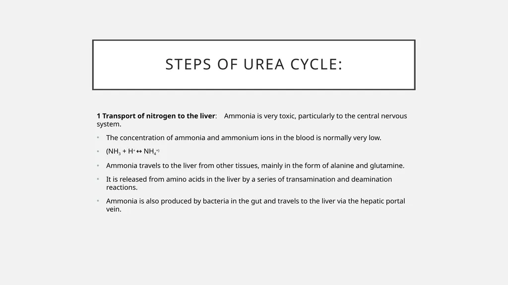 UREA cycle: Miss Farida Zai UREa cycle The urea - slide 4 of 11