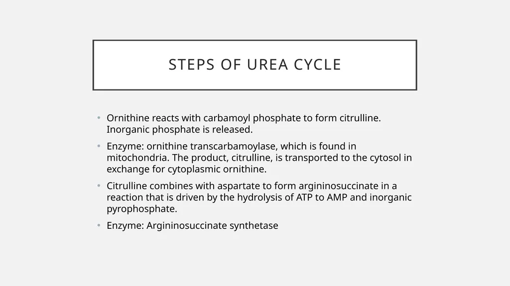 UREA cycle: Miss Farida Zai UREa cycle The urea - slide 6 of 11