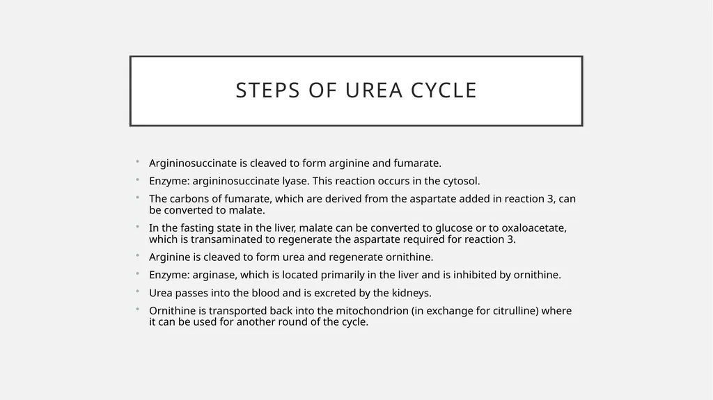 UREA cycle: Miss Farida Zai UREa cycle The urea - slide 7 of 11