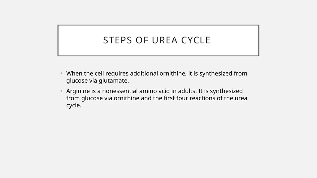 UREA cycle: Miss Farida Zai UREa cycle The urea - slide 8 of 11