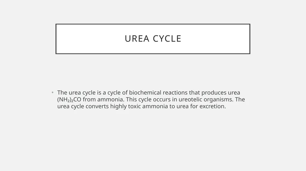 UREA cycle: Miss Farida Zai UREa cycle The urea - slide 2 of 11