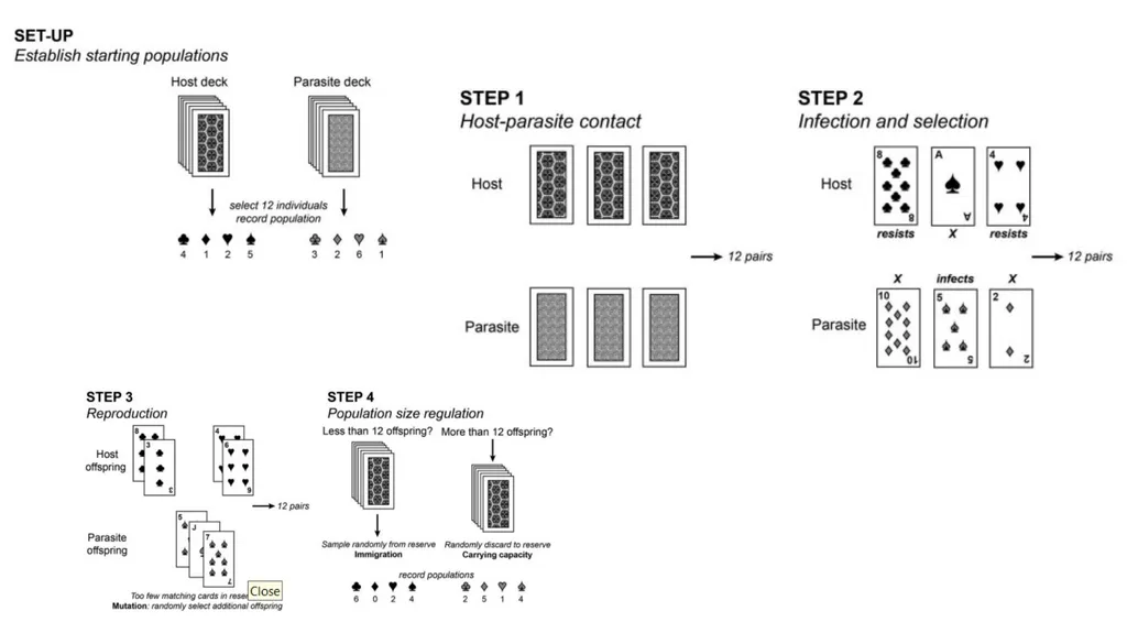 Red Queen Hypothesis Hypothesis Coevolution - slide 5 of 8