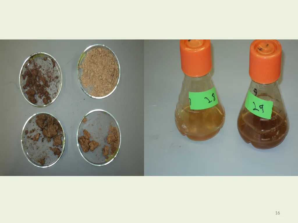 Seeding Rate Effects on Ethanol Production in Corn - slide 16 of 19