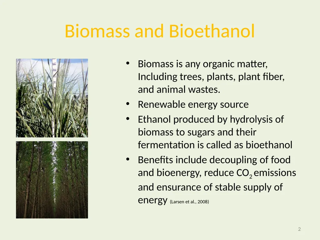 Seeding Rate Effects on Ethanol Production in Corn - slide 2 of 19