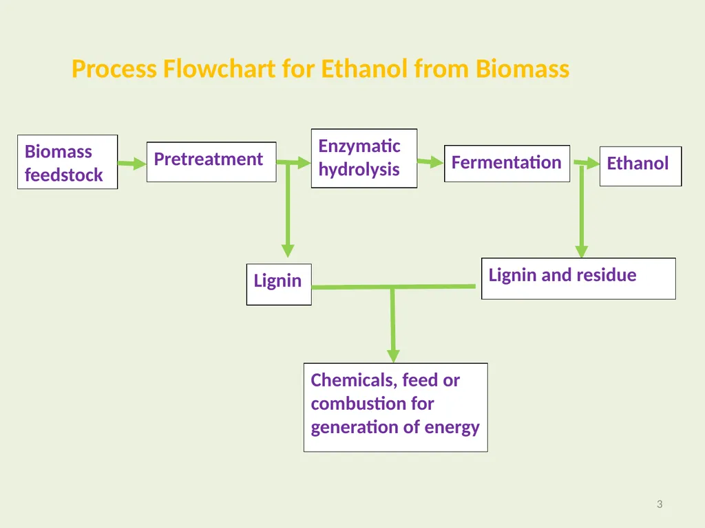 Seeding Rate Effects on Ethanol Production in Corn - slide 3 of 19