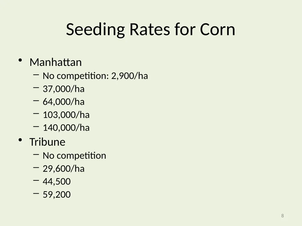 Seeding Rate Effects on Ethanol Production in Corn - slide 8 of 19