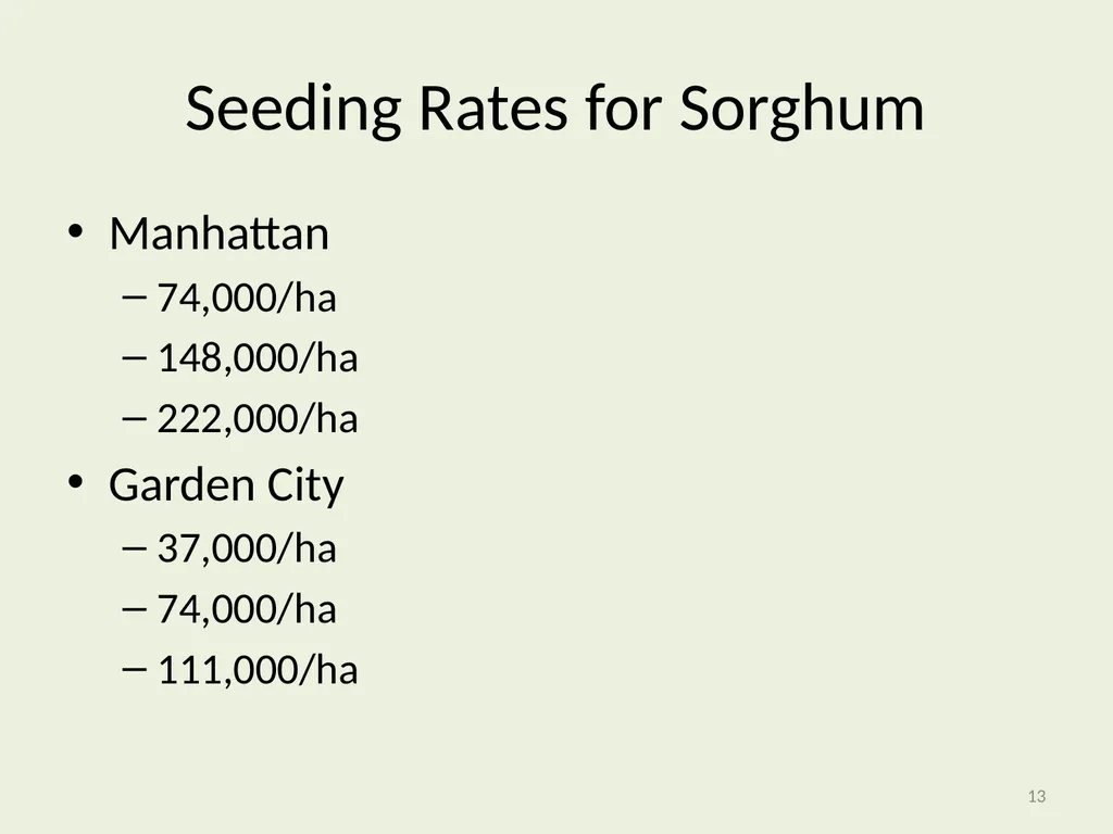 Seeding Rate Effects on Ethanol Production in Corn - slide 13 of 19