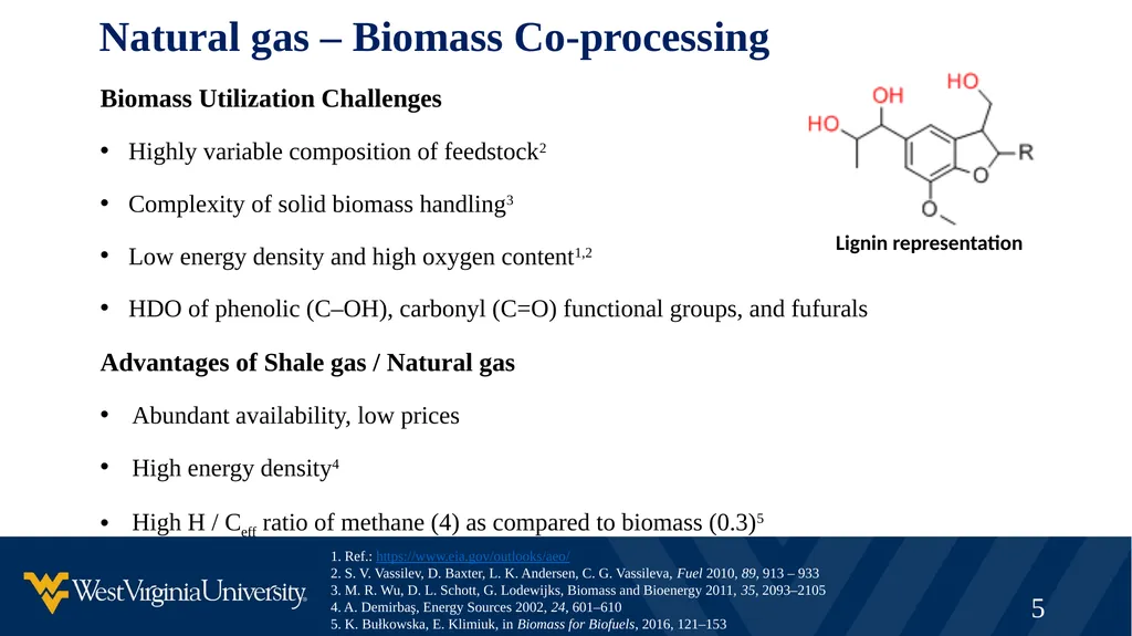 Synergistic Natural Gas – Biomass Co-processing to - slide 5 of 21