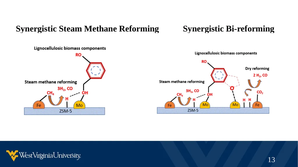 Synergistic Natural Gas – Biomass Co-processing to - slide 13 of 21