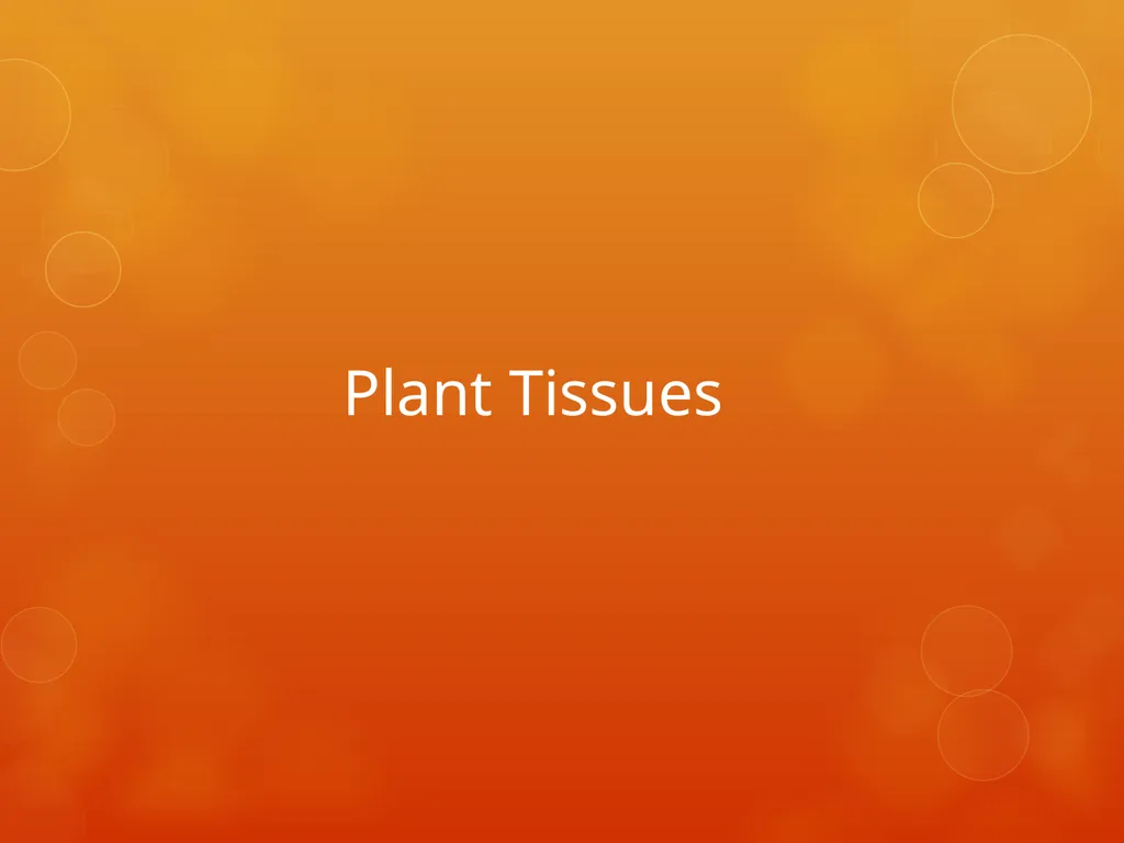 Plant Tissues Plant Tissues There are 3 types of - slide 1 of 13