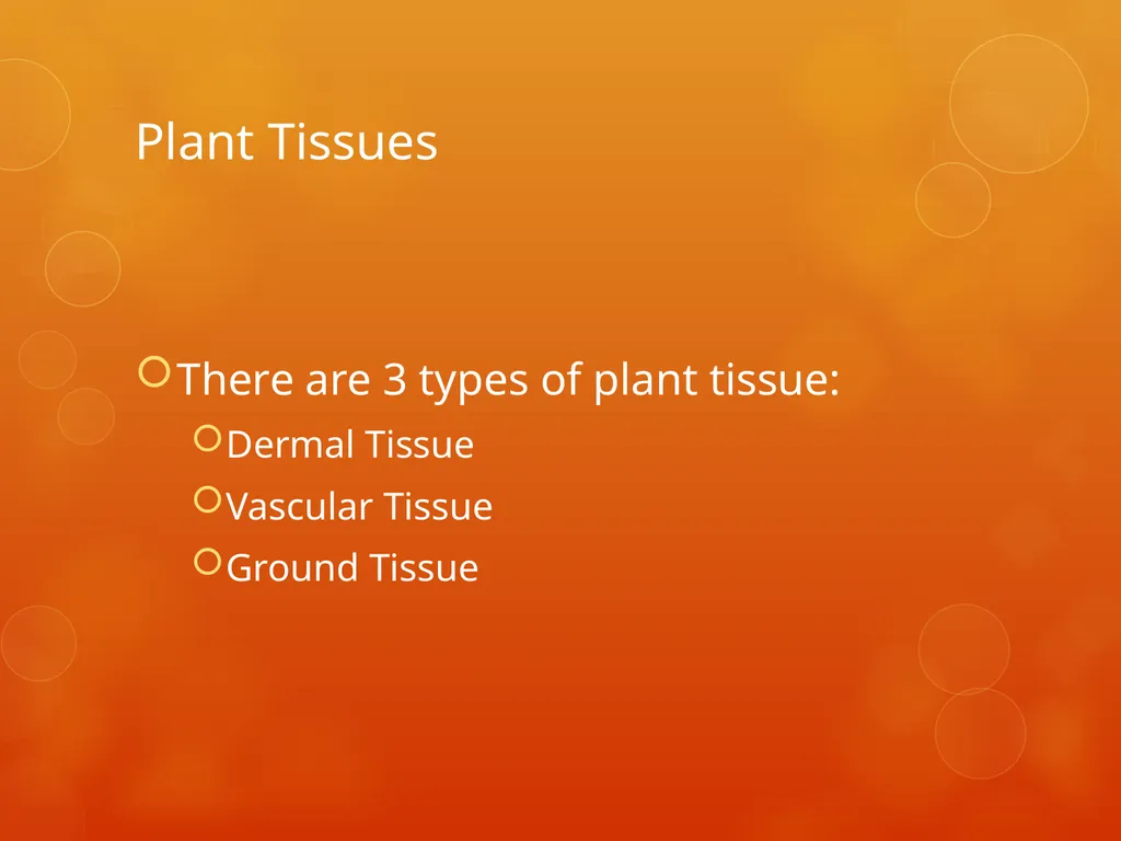 Plant Tissues Plant Tissues There are 3 types of - slide 2 of 13