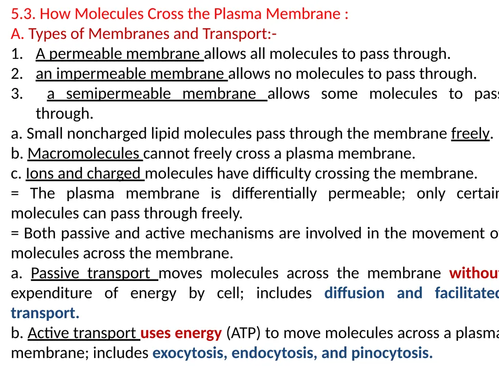 Chapter 5 Outline and Terms Membrane Models Have - slide 12 of 22