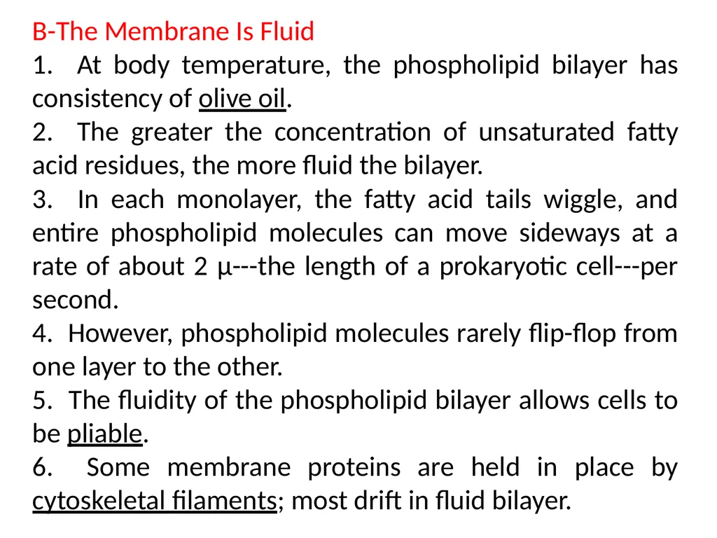 Chapter 5 Outline and Terms Membrane Models Have - slide 8 of 22
