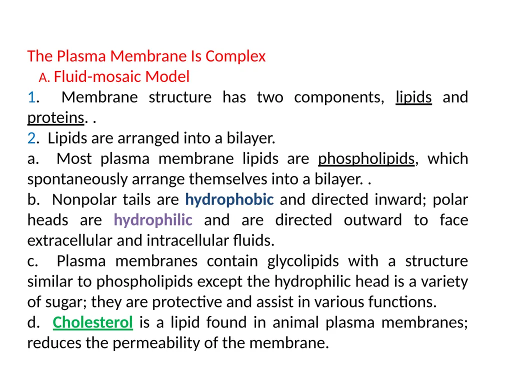 Chapter 5 Outline and Terms Membrane Models Have - slide 6 of 22