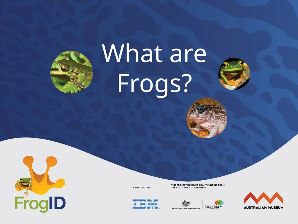 What are Frogs? What are Frogs? Frogs are - slide 1 of 11
