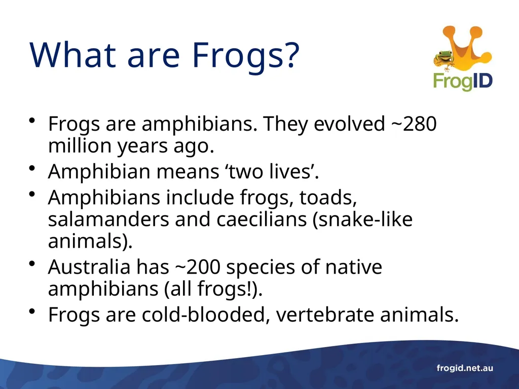 What are Frogs? What are Frogs? Frogs are - slide 2 of 11