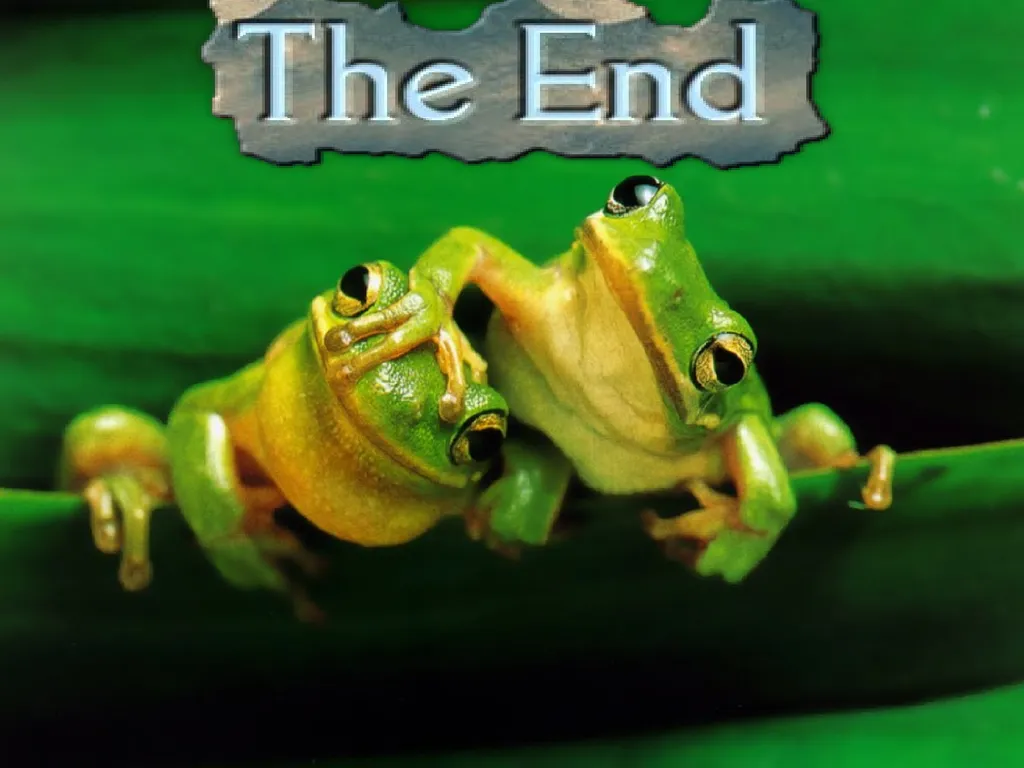 Frogs? By: Kayla B. Pd.2 Ms. Miller Why are frogs - slide 6 of 6
