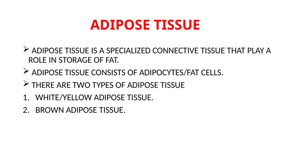CONNECTIVE TISSUE CONNECTIVE TISSUE SUPPORTS OTHER - slide 15 of 17