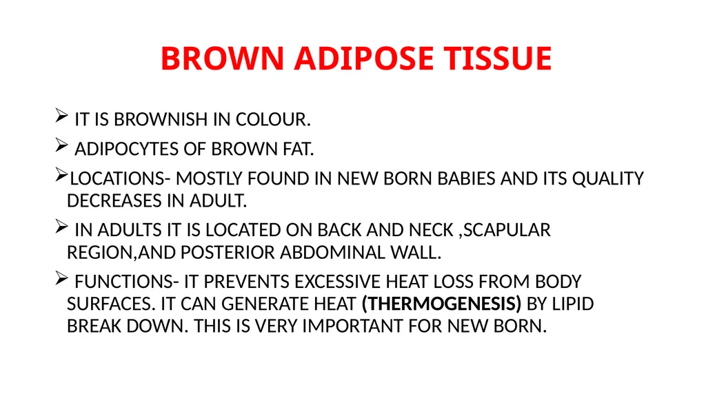 CONNECTIVE TISSUE CONNECTIVE TISSUE SUPPORTS OTHER - slide 17 of 17