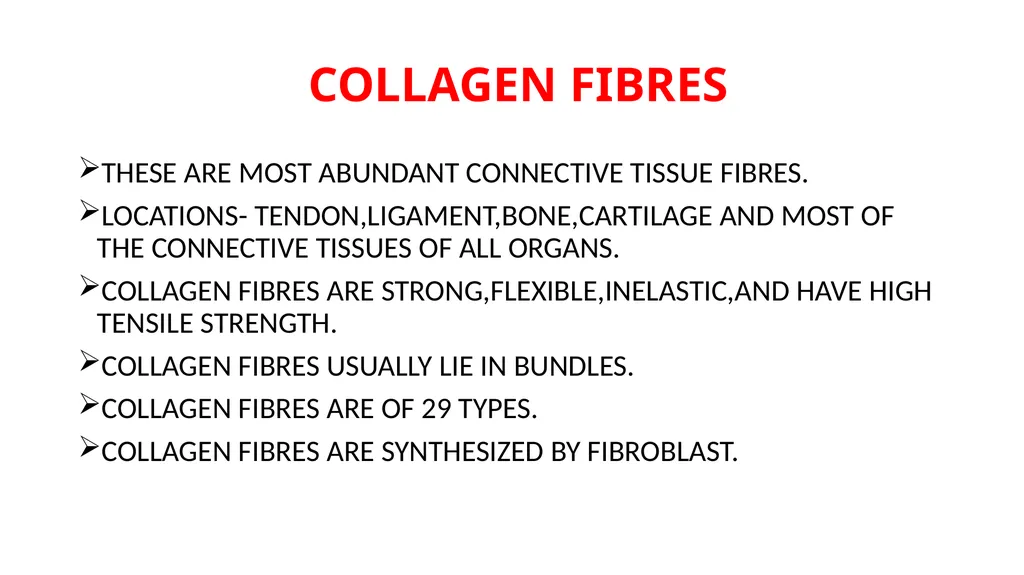 CONNECTIVE TISSUE CONNECTIVE TISSUE SUPPORTS OTHER - slide 4 of 17
