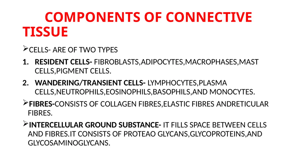CONNECTIVE TISSUE CONNECTIVE TISSUE SUPPORTS OTHER - slide 3 of 17