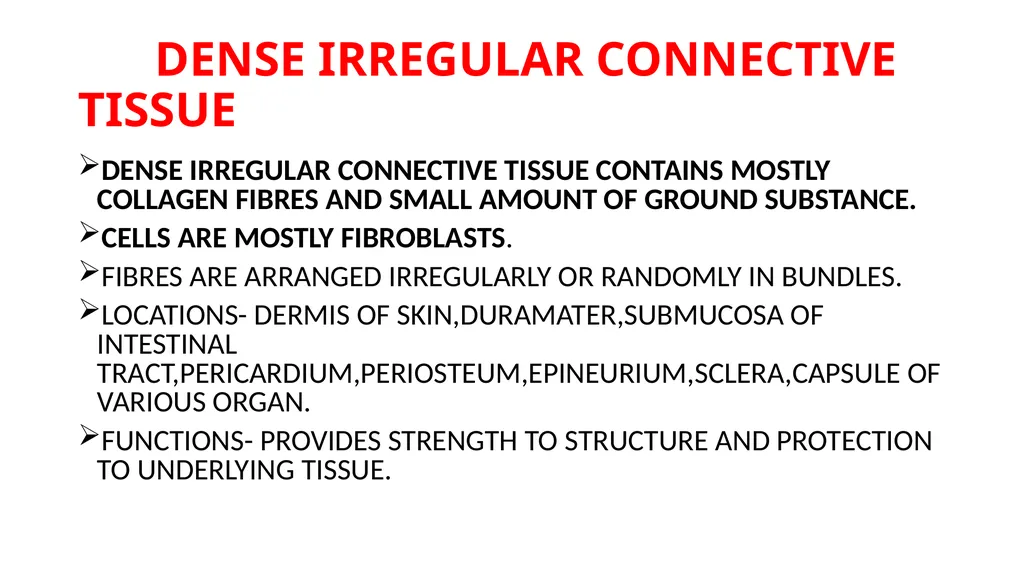 CONNECTIVE TISSUE CONNECTIVE TISSUE SUPPORTS OTHER - slide 13 of 17
