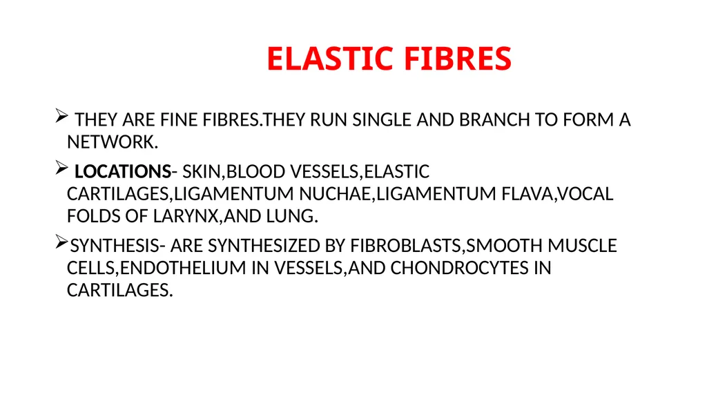 CONNECTIVE TISSUE CONNECTIVE TISSUE SUPPORTS OTHER - slide 6 of 17