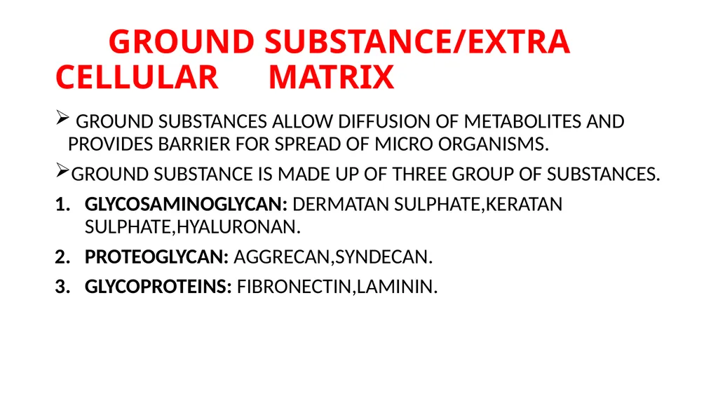 CONNECTIVE TISSUE CONNECTIVE TISSUE SUPPORTS OTHER - slide 7 of 17