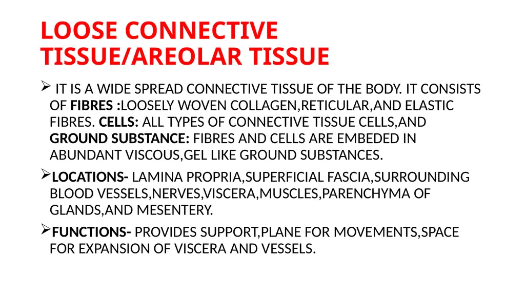 CONNECTIVE TISSUE CONNECTIVE TISSUE SUPPORTS OTHER - slide 11 of 17
