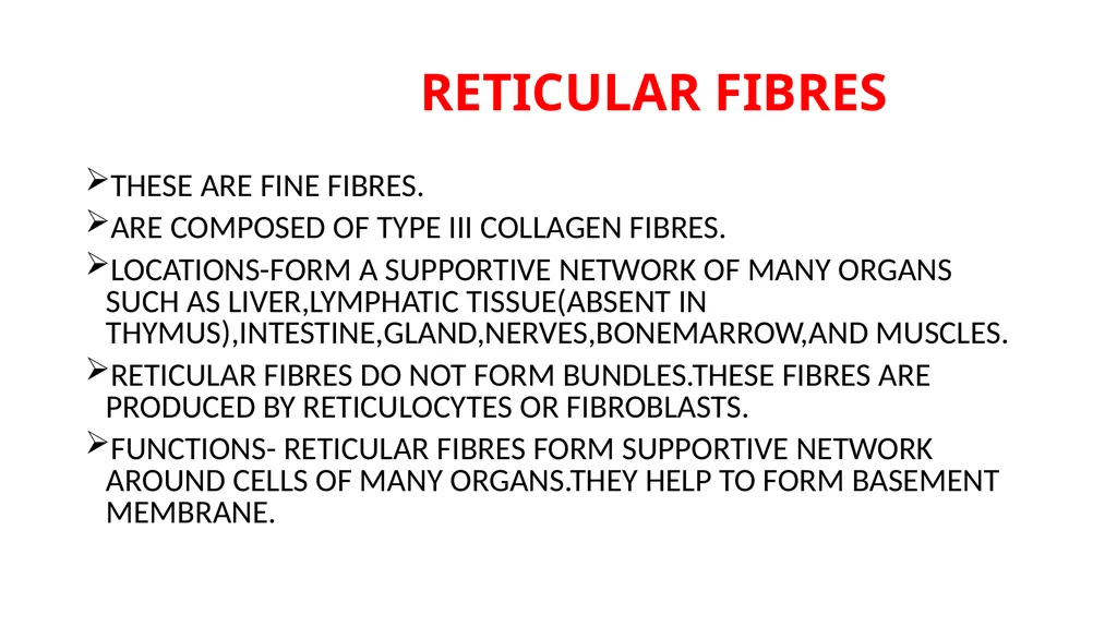 CONNECTIVE TISSUE CONNECTIVE TISSUE SUPPORTS OTHER - slide 5 of 17