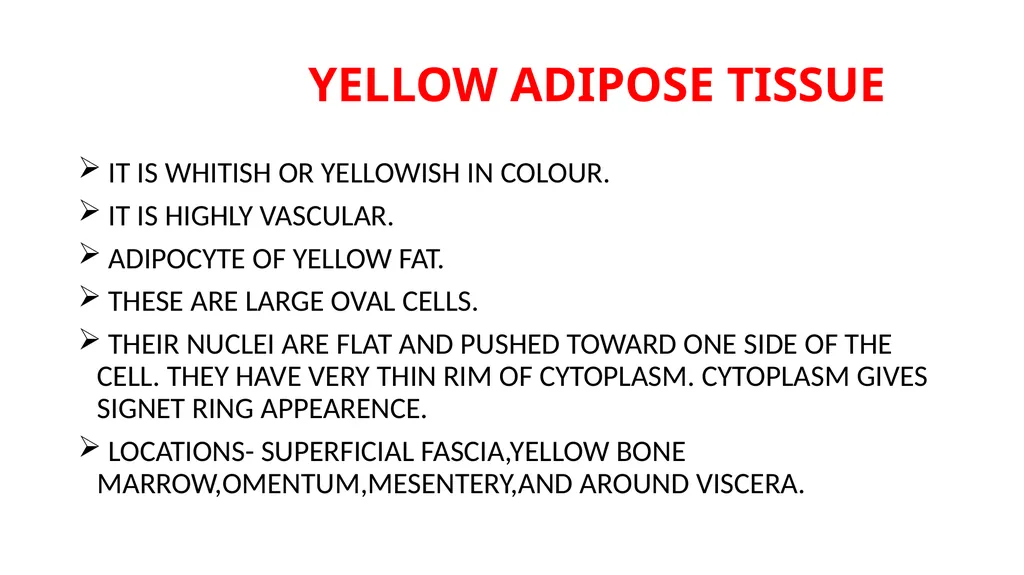 CONNECTIVE TISSUE CONNECTIVE TISSUE SUPPORTS OTHER - slide 16 of 17