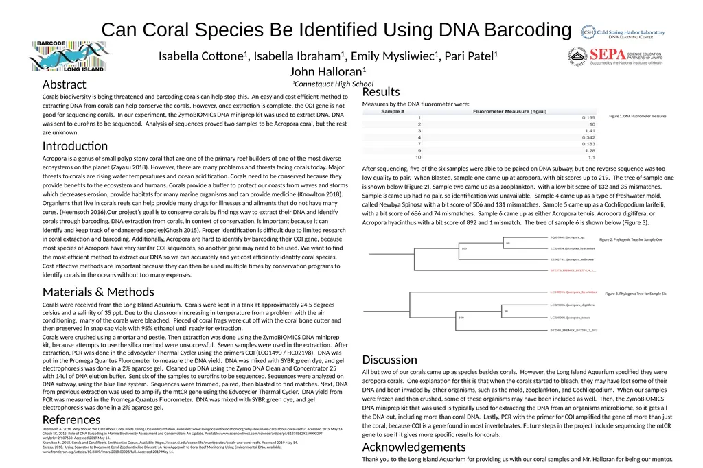 Can Coral Species Be Identified Using DNA