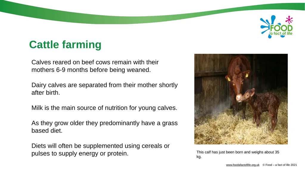 Farming food Farming systems Agriculture in the UK - slide 5 of 21