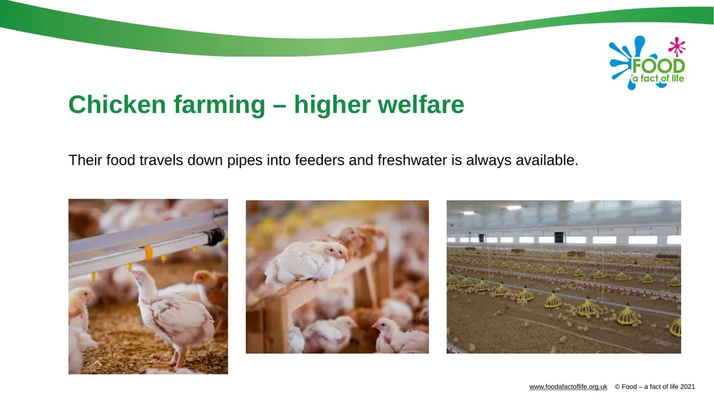 Farming food Farming systems Agriculture in the UK - slide 13 of 21