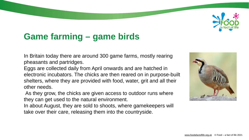 Farming food Farming systems Agriculture in the UK - slide 20 of 21