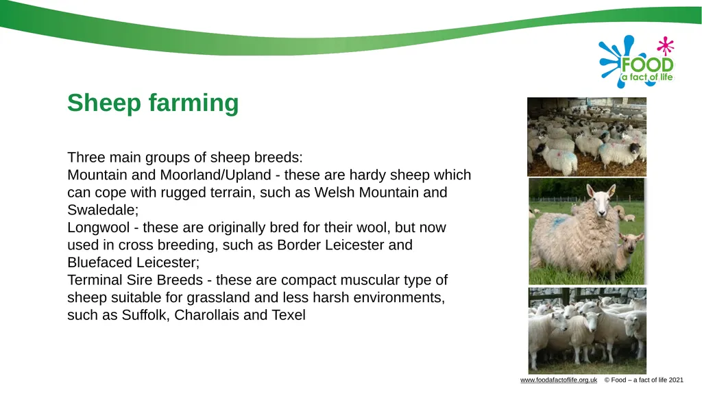 Farming food Farming systems Agriculture in the UK - slide 9 of 21