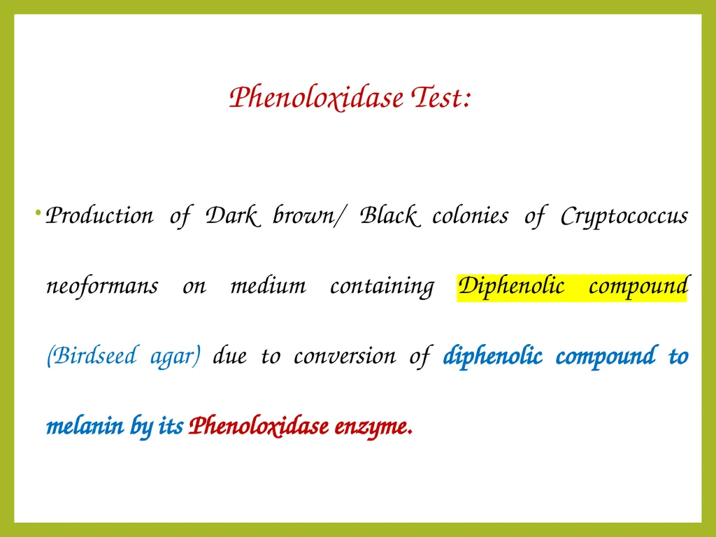 Cryptococcal meningitis Dr. Priyanka Chaturvedi - slide 20 of 30
