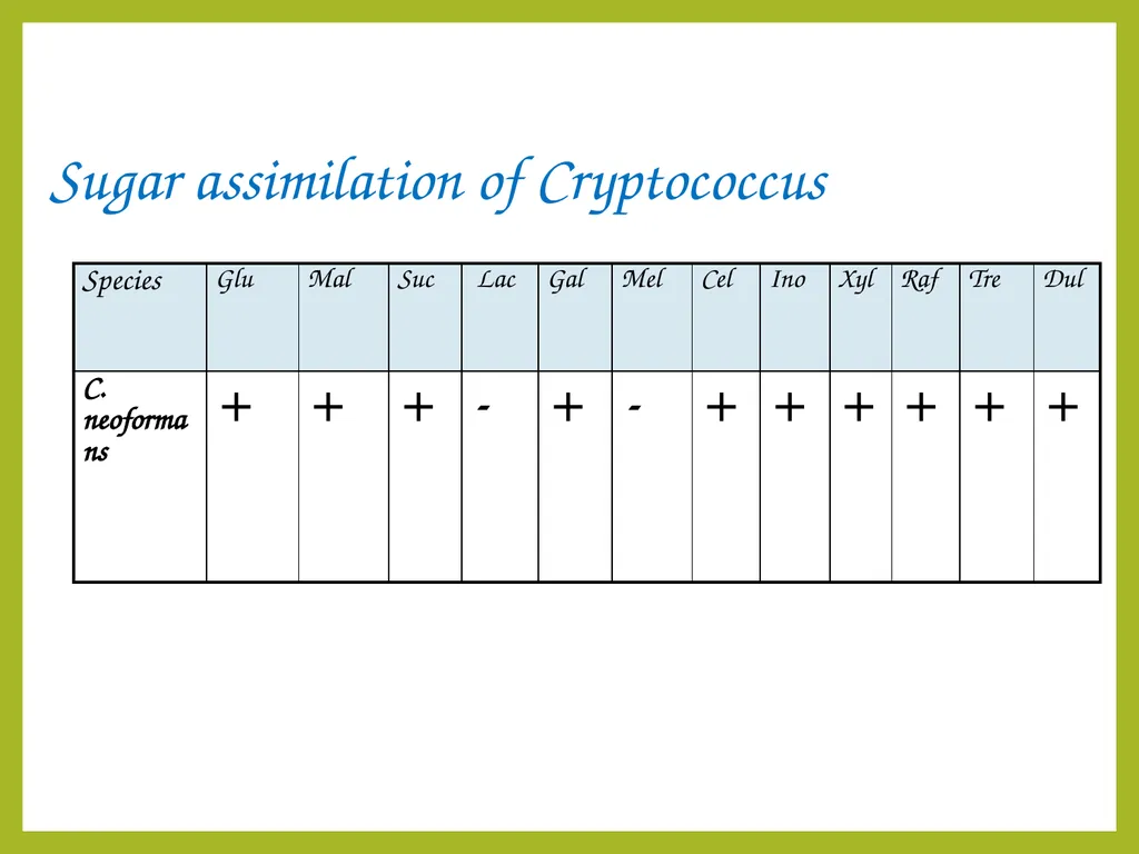 Cryptococcal meningitis Dr. Priyanka Chaturvedi - slide 26 of 30