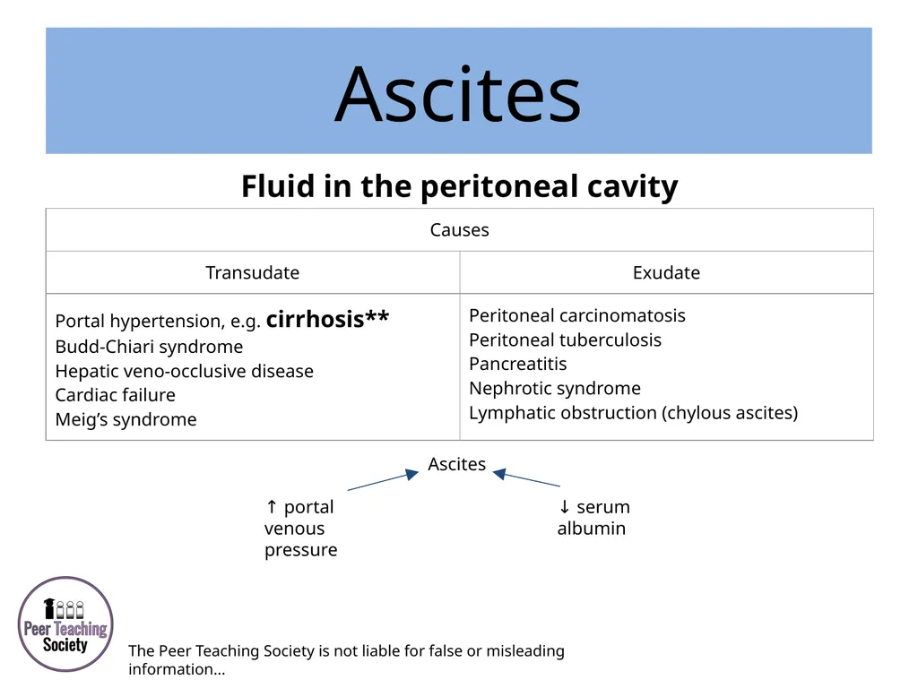 HEPATOLOGY Phase 2a Revision Session Rye Yap & May - slide 29 of 38