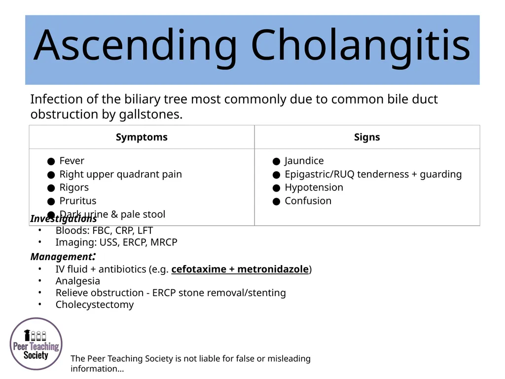 HEPATOLOGY Phase 2a Revision Session Rye Yap & May - slide 8 of 38