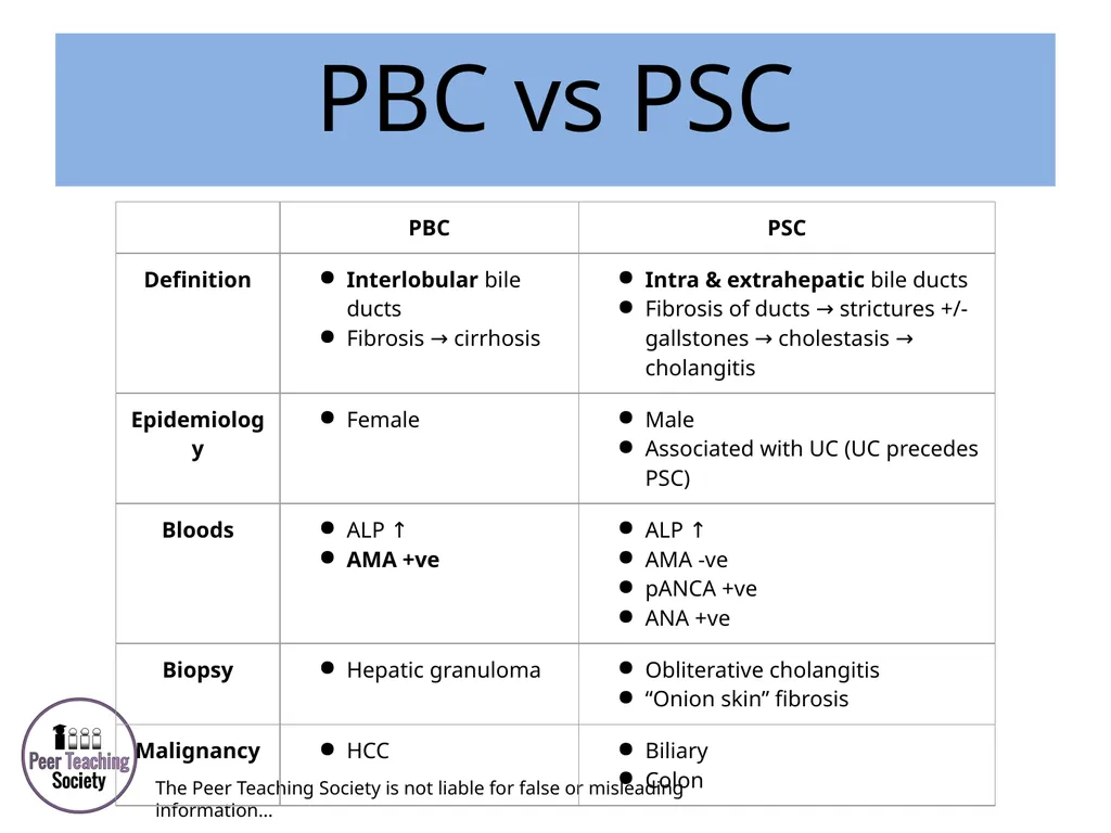 HEPATOLOGY Phase 2a Revision Session Rye Yap & May - slide 17 of 38