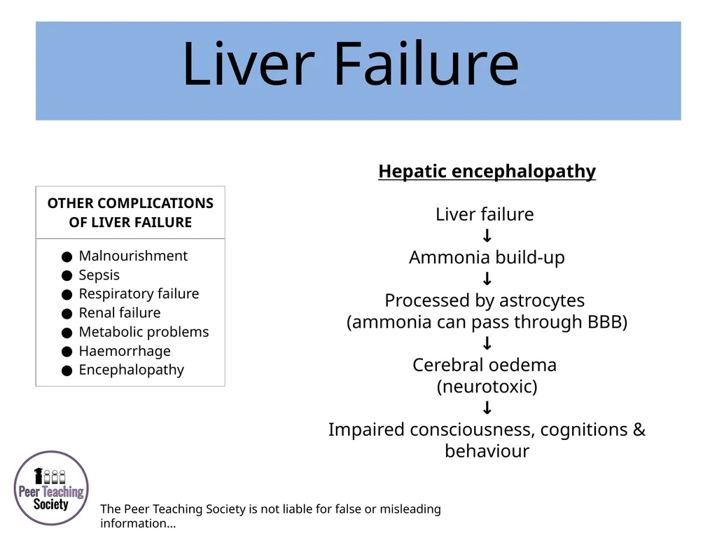 HEPATOLOGY Phase 2a Revision Session Rye Yap & May - slide 33 of 38