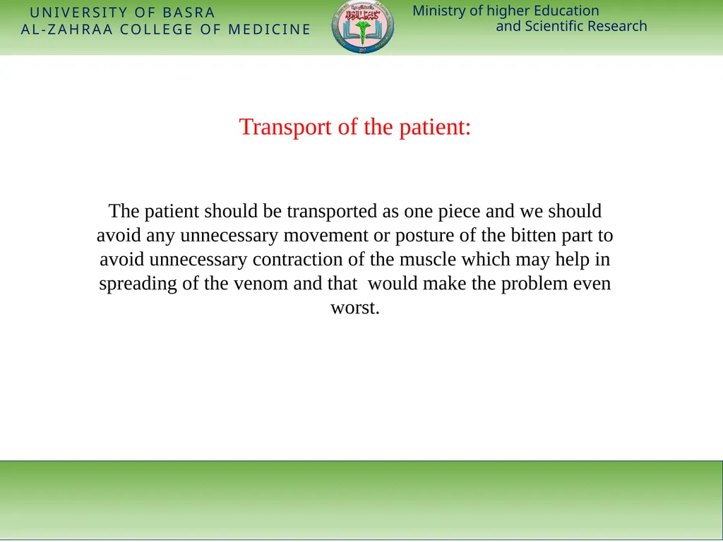 Ministry of higher Education and Scientific - slide 11 of 28