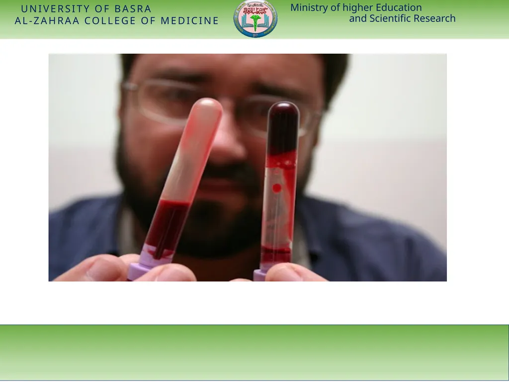 Ministry of higher Education and Scientific - slide 18 of 28