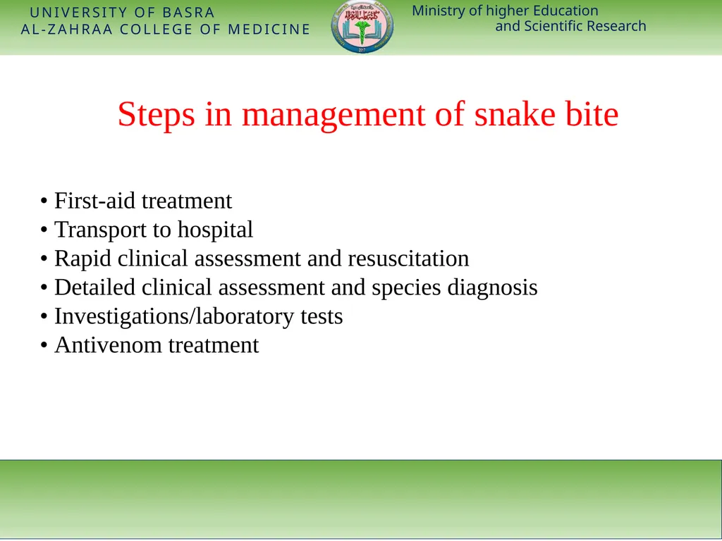 Ministry of higher Education and Scientific - slide 5 of 28