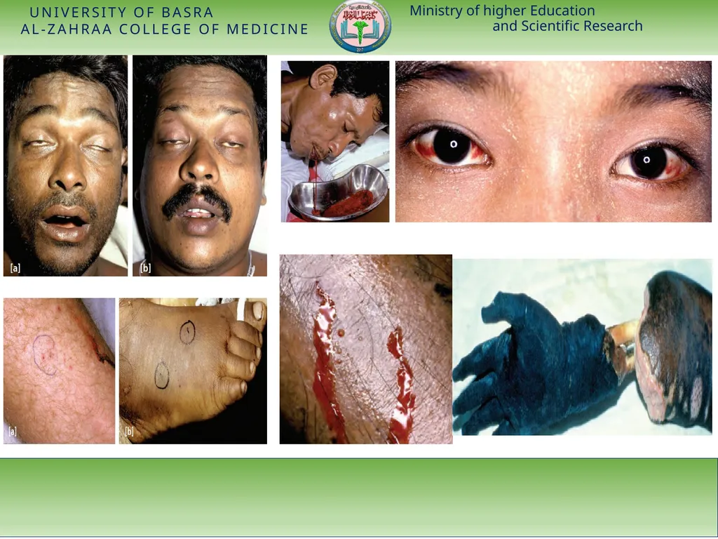 Ministry of higher Education and Scientific - slide 9 of 28